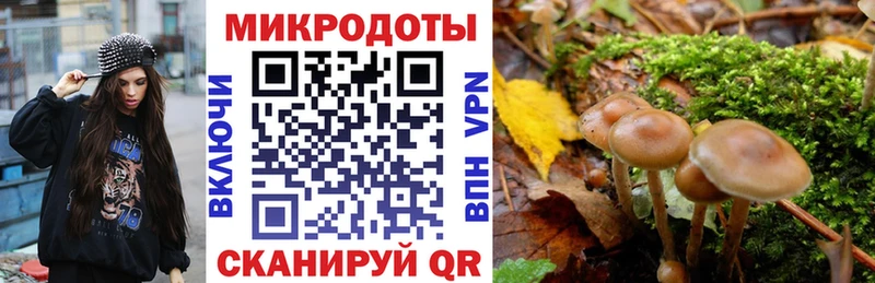 Псилоцибиновые грибы MAGIC MUSHROOMS сколько стоит Ногинск
